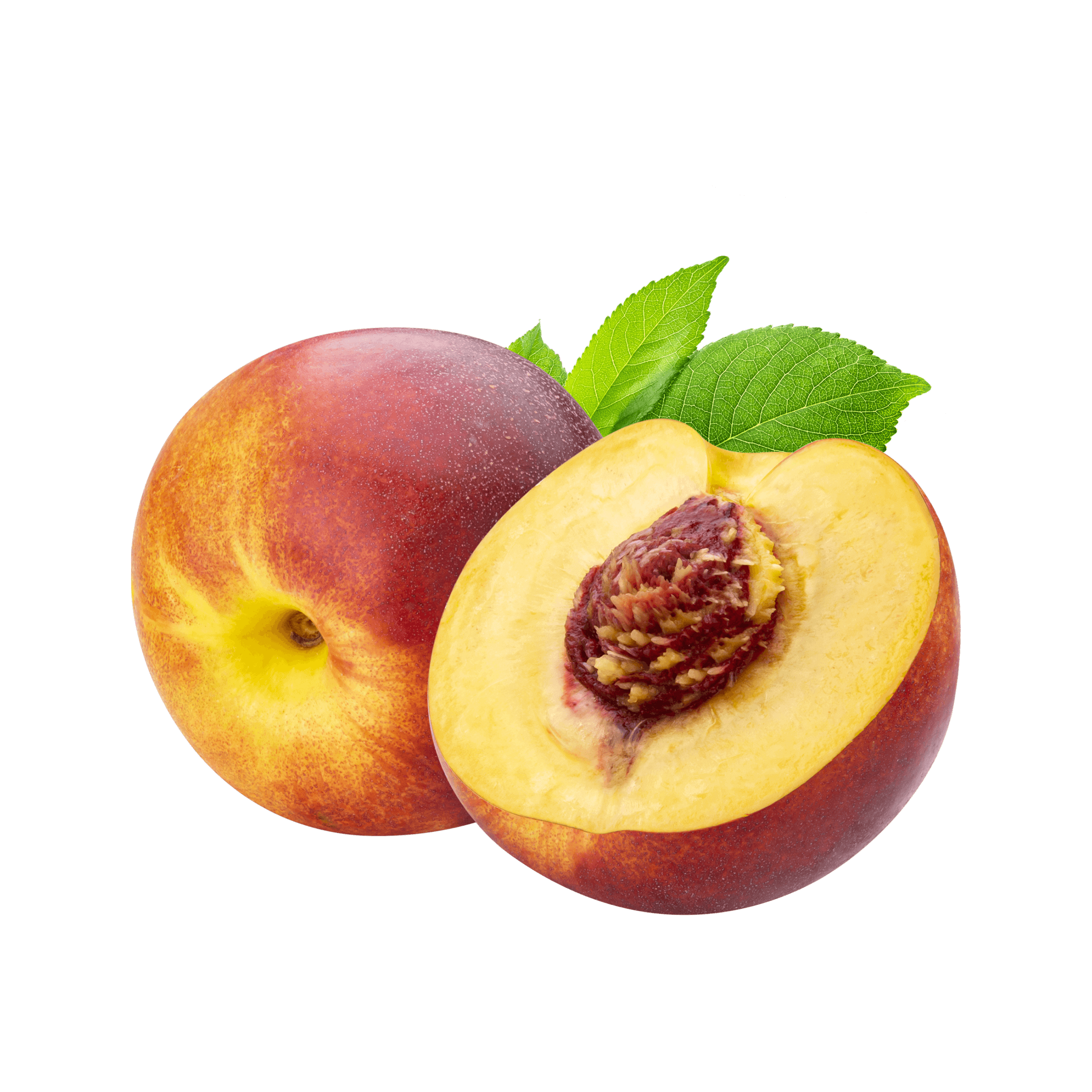 Voluptatem sed rerum