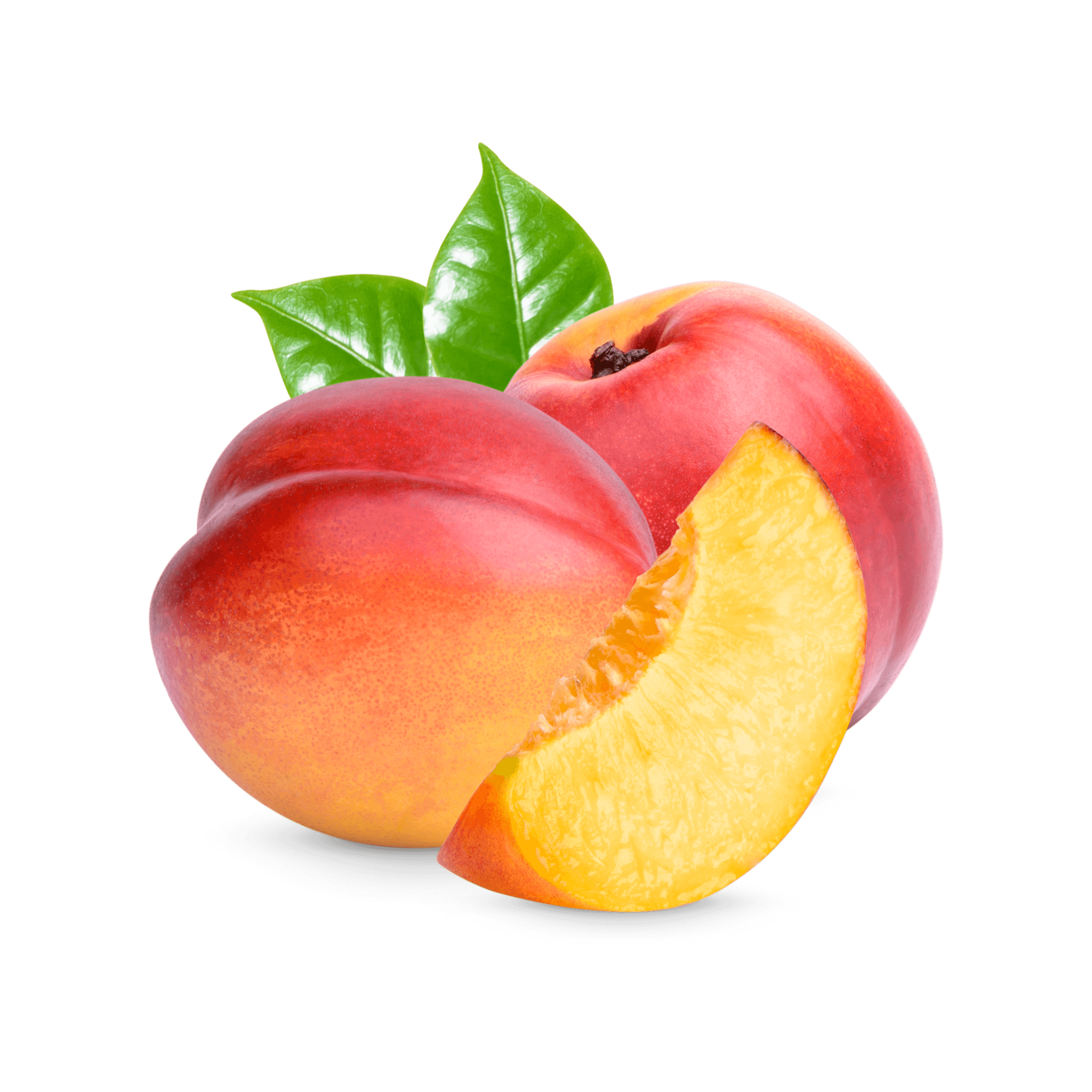 Voluptatibus dolor vitae