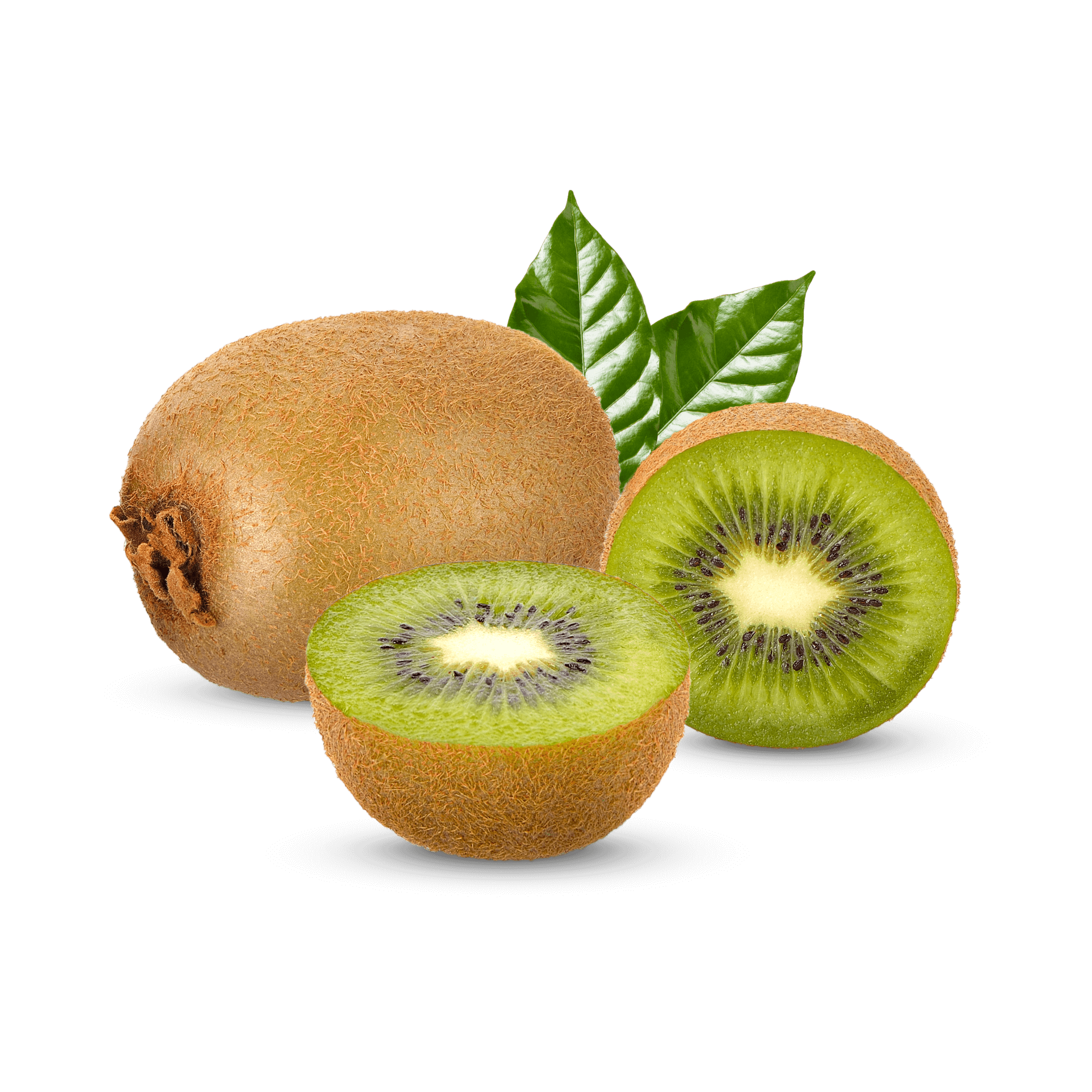 Assumenda exercitationem rerum